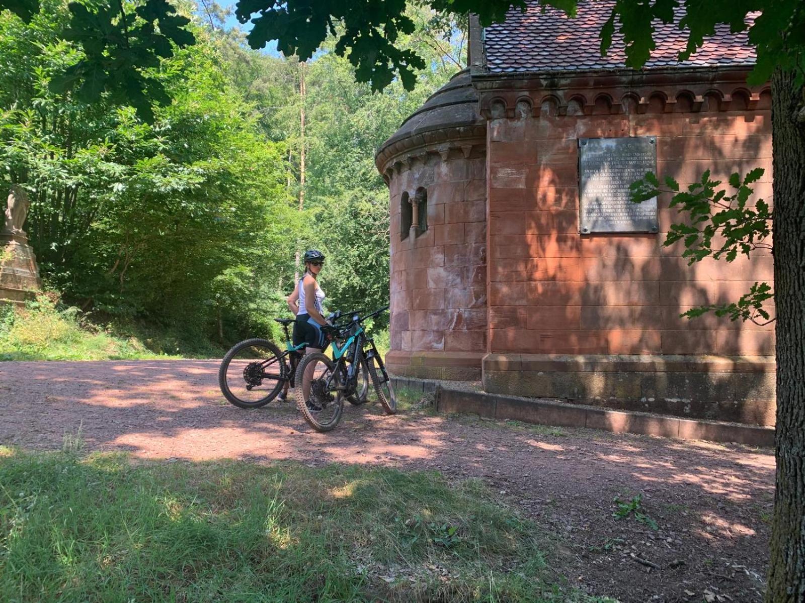 Ferienwohnungen Im Kimmelreich Irsch Luaran gambar