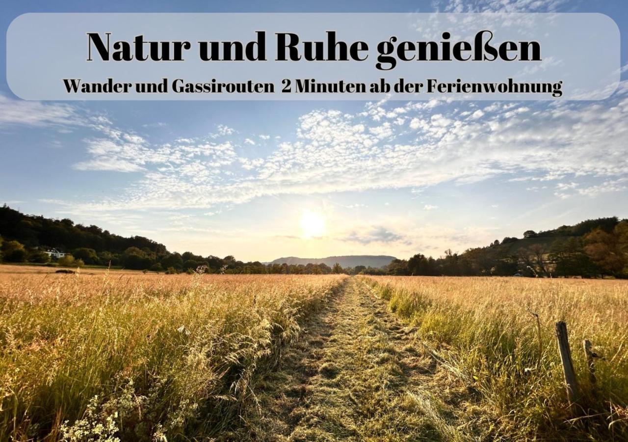 Ferienwohnungen Im Kimmelreich Irsch Luaran gambar